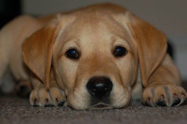 Start teaching me right from the start!